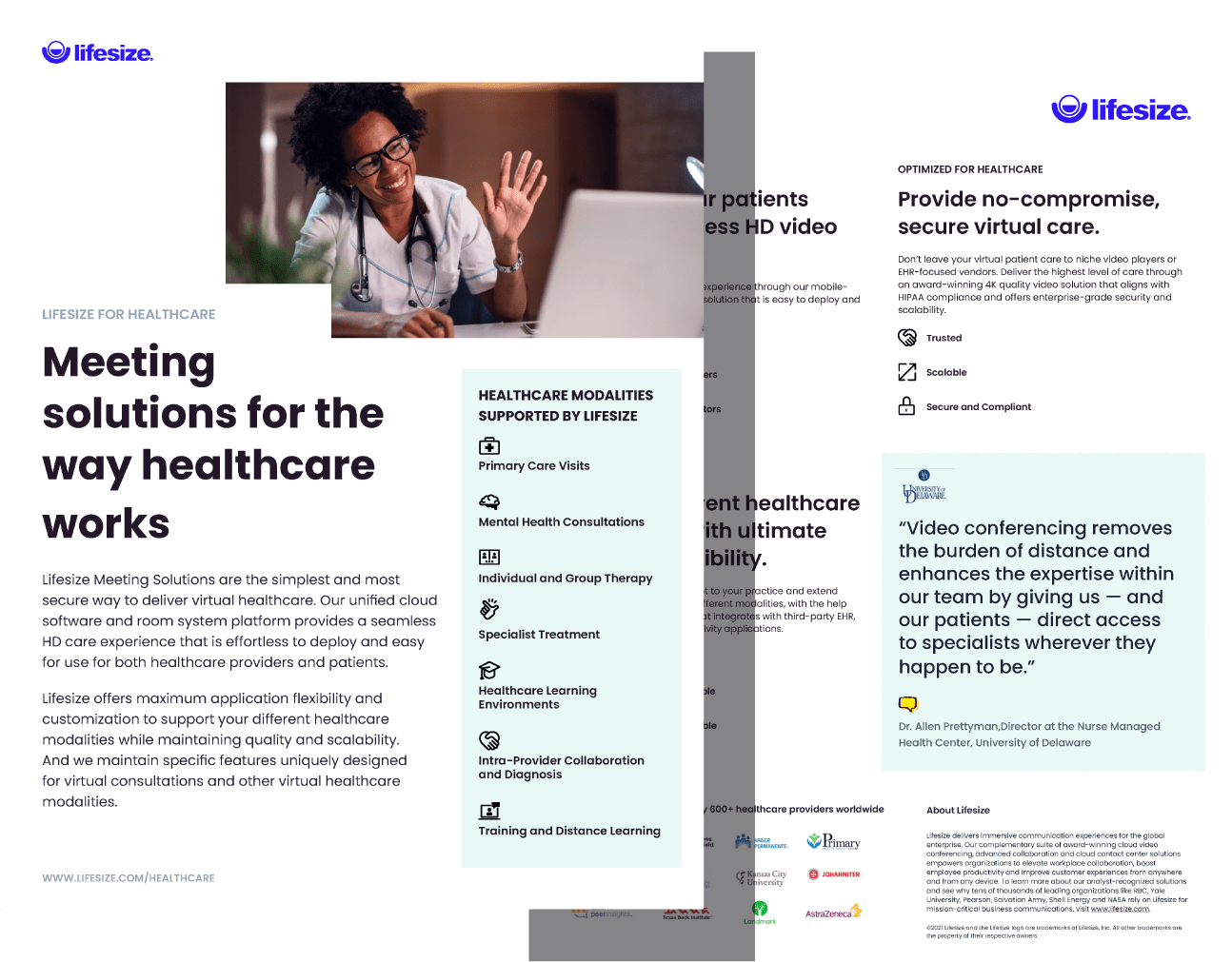 Lifesize One Pager PDF Design Showing front and back